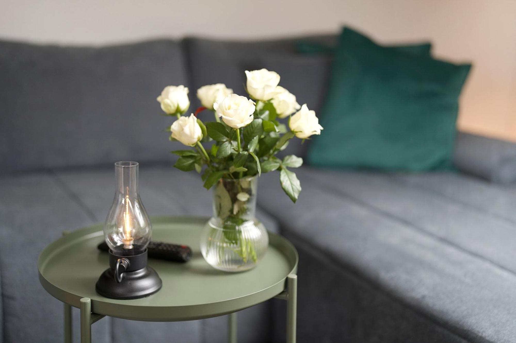 Apartment Dasensteinblick