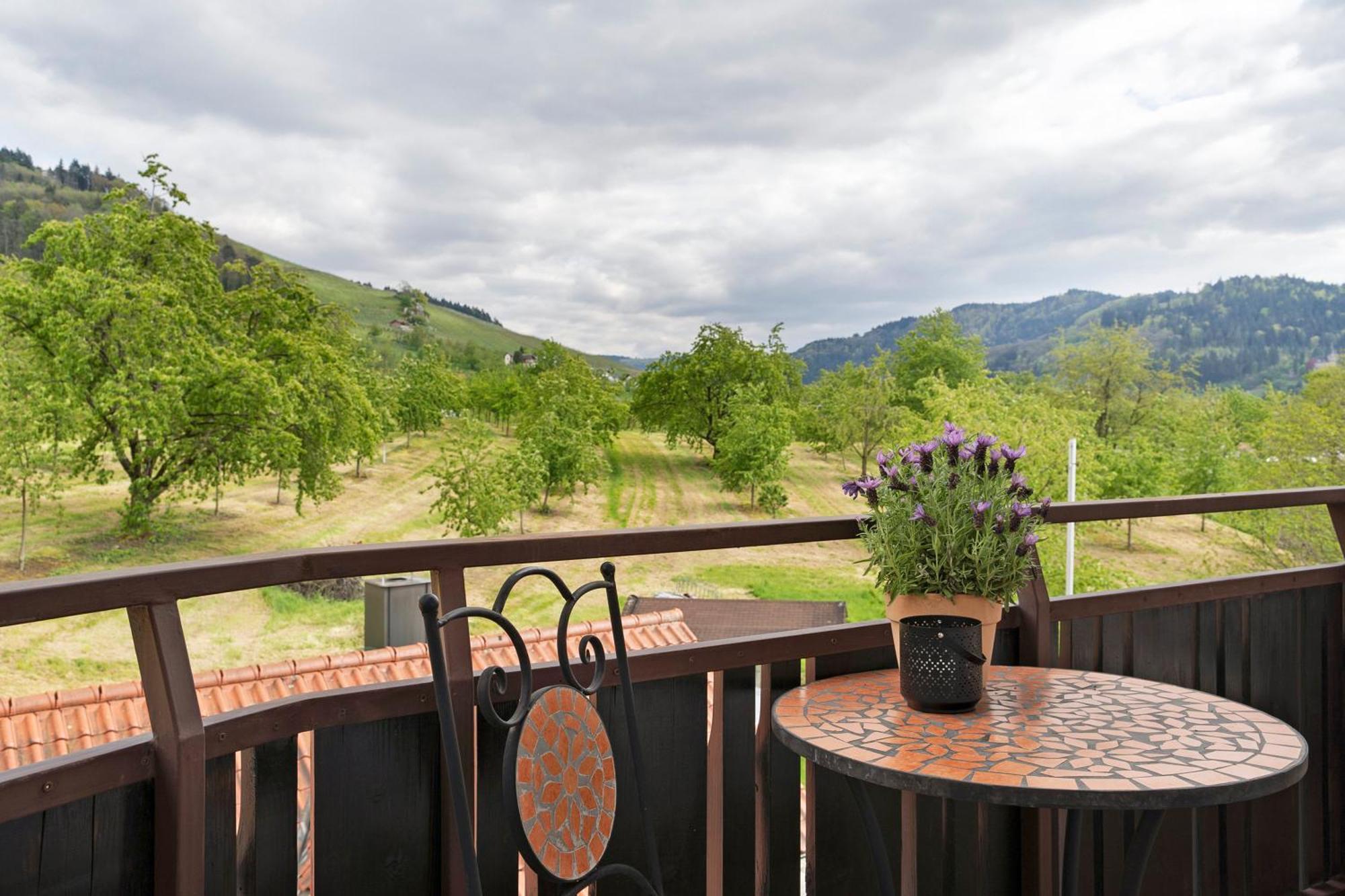 Apartment Dasensteinblick Kappelrodeck